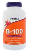 Заказать NOW B-100 250 вег капс N