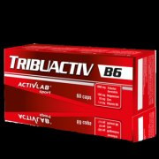 Заказать ActivLab Tribuactiv B6 60 капс